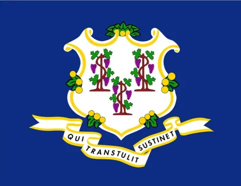 Connecticut State Flag