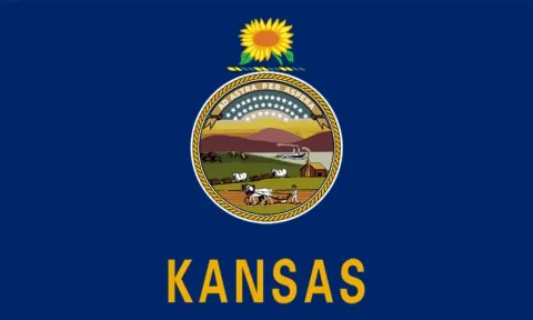 Kansas State Flag