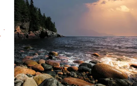 Maine Coast