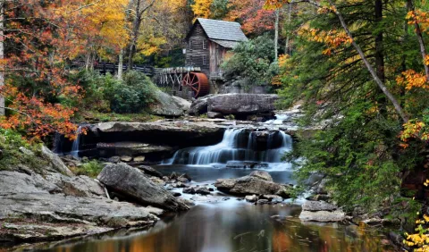 Virginia Mill