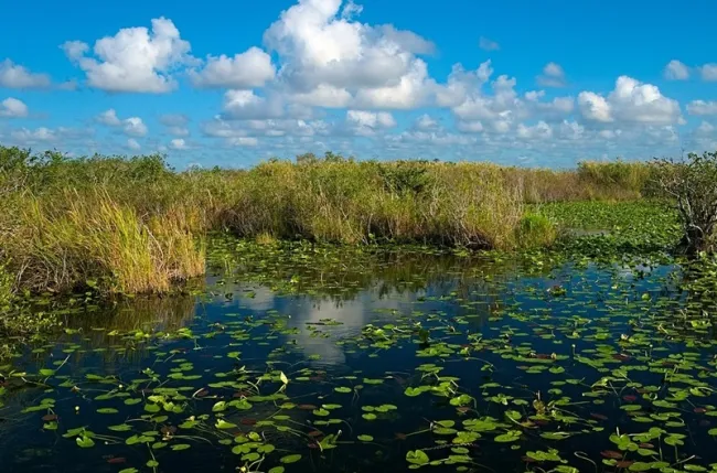 Everglades National Park
