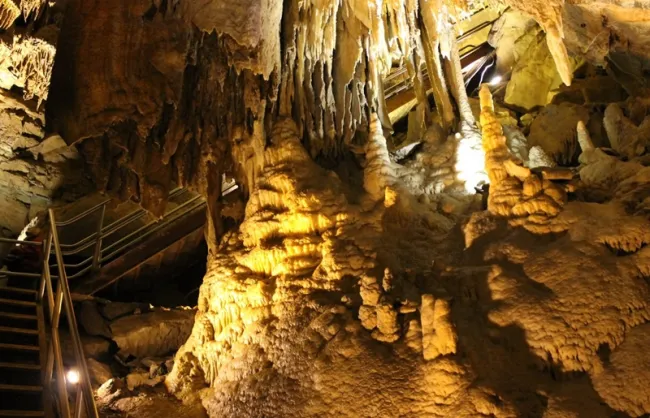 Mammoth Cave National Park
