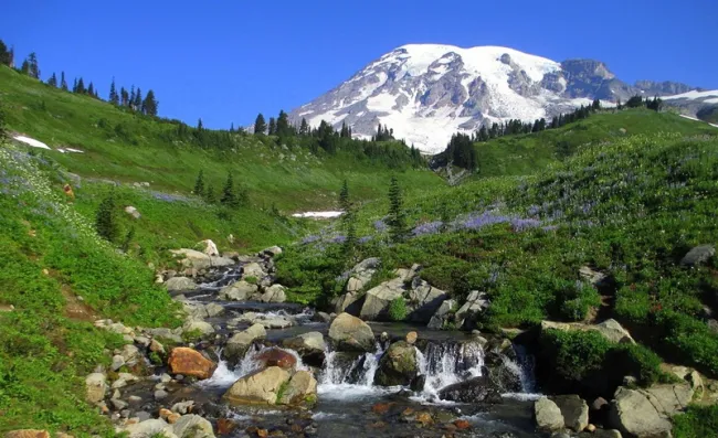 Mount Rainier