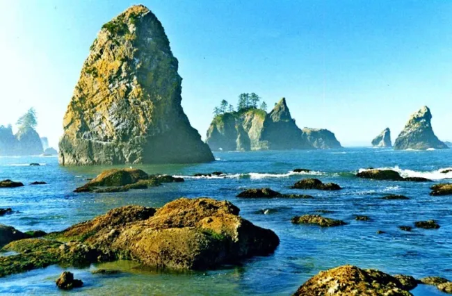Olympic National Park