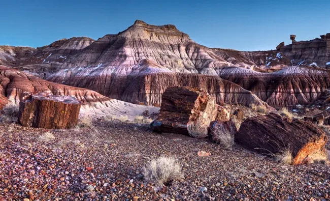 Petrified Forest National Park